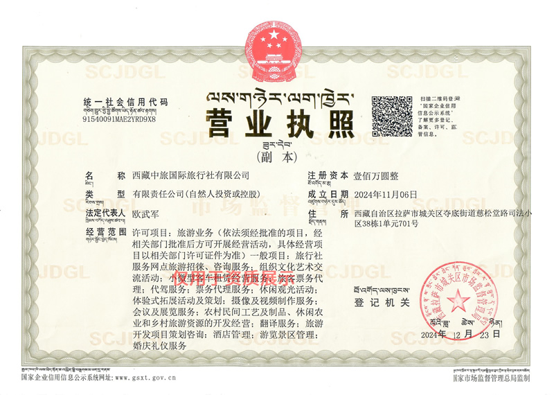 西藏中旅营业执照