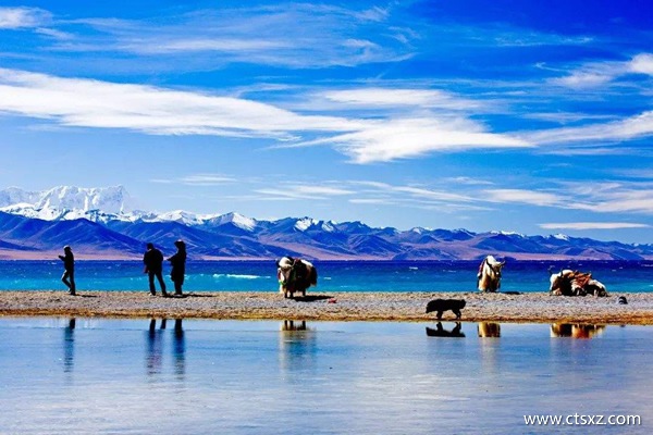 去西藏旅游需要多少钱