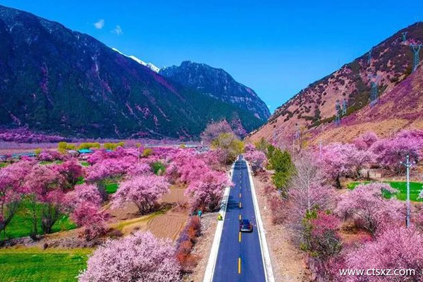 温州到拉萨旅游