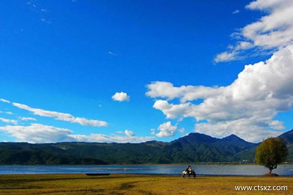 西藏旅游花多少钱
