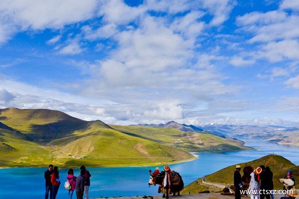 西藏旅游当地旅行社