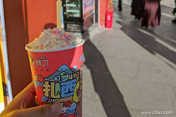 西藏旅游花费