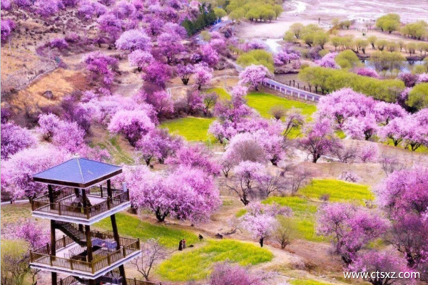 三月去西藏旅游好吗