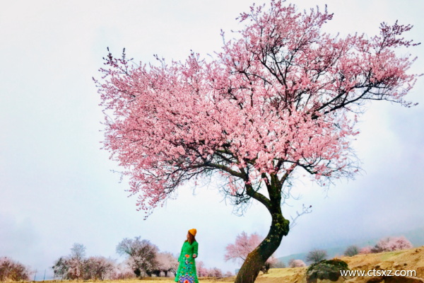 三月去西藏旅游合适吗