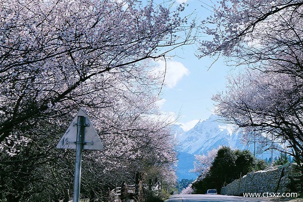 去西藏旅游团多少钱