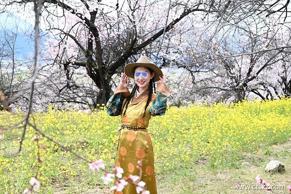 林芝报团价格