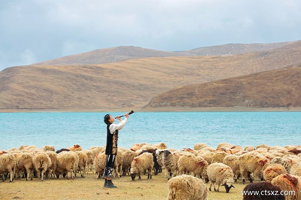 中旅西藏游价格