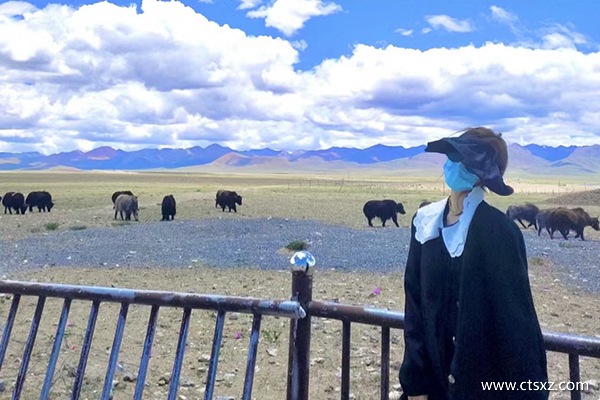 西藏8天旅游路线推荐